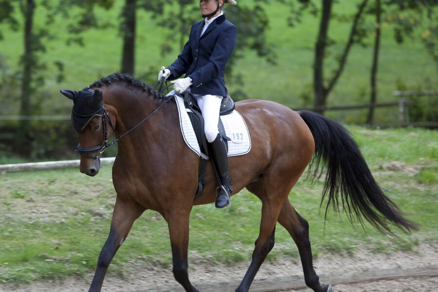 Wenn ich eins bin mit mir, kann ich eins sein mit dem Pferd.